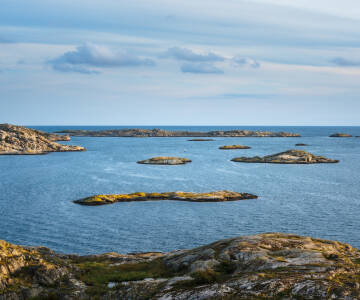 Palm Tree Hotel er en perfekt base, når I skal udforske Sydskåne på bilferien