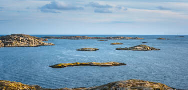 Palm Tree Hotel er et utmerket utgangspunkt for en bilferie i Sør-Skåne.