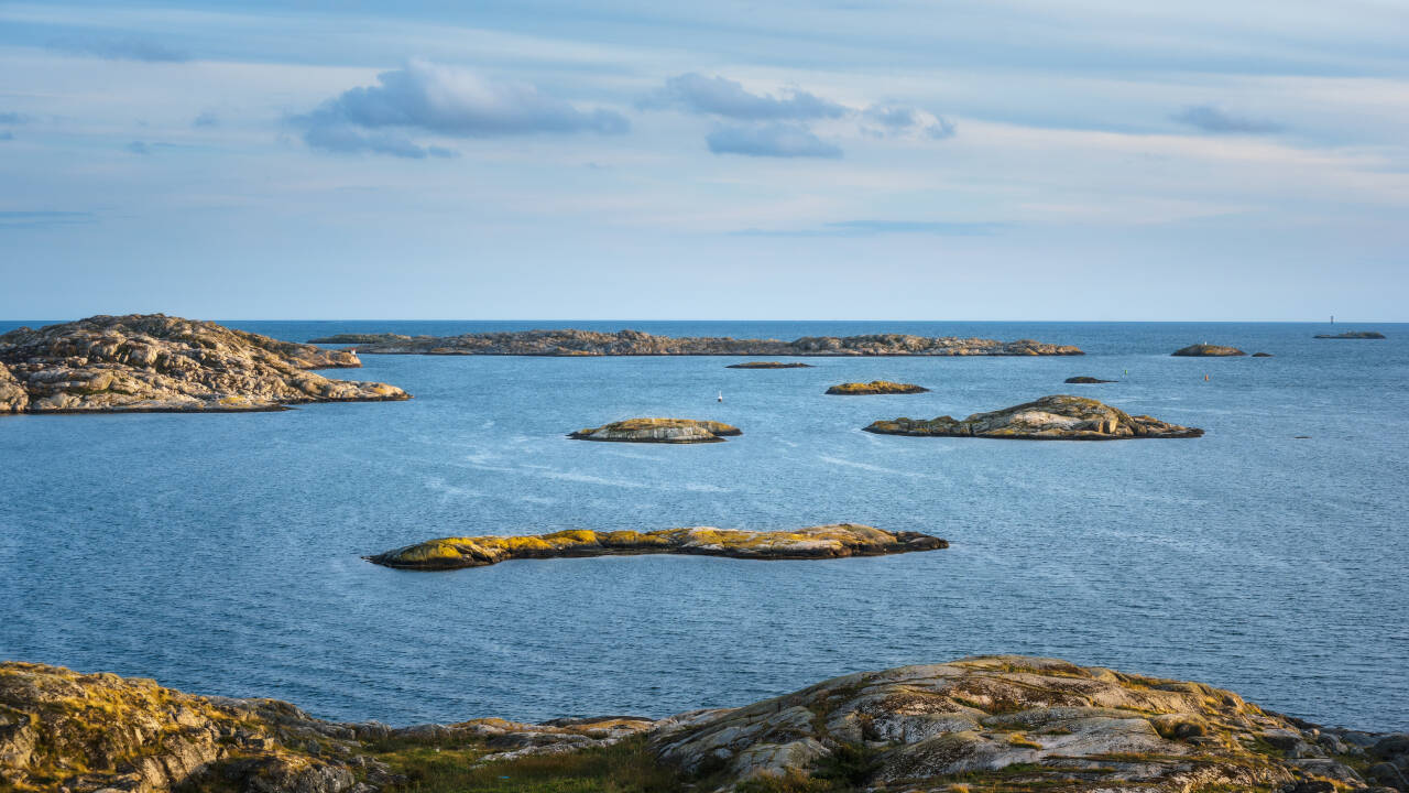 Palm Tree Hotel er en perfekt base, når I skal udforske Sydskåne på bilferien