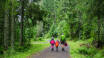 The hotel serves as a good starting point for hikes through the fantastic area of Roslagen via the Roslagsleden trail.
