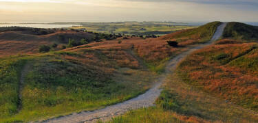 Åk på en minisemester och bo nära sjön Lækmose och den vackra naturparken Trehøje.