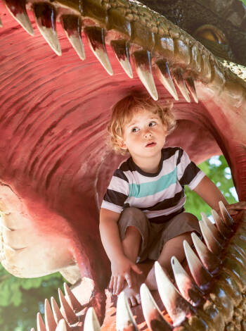 En fantastisk upplevelse för barn: Triassic Park Waidring med dinos, koraller och ammoniter.