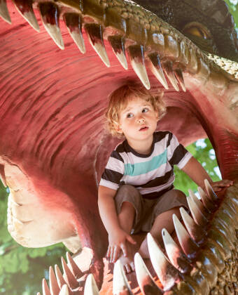 Für Kinder ein großartiges Erlebnis: Der Triassic Park Waidring mit Dinos, Korallen und Ammoniten.