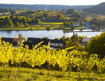 Gå längs Neckarfloden, där du också kan upptäcka vingårdarna.