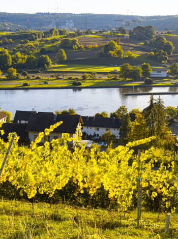 Gå längs Neckarfloden, där du också kan upptäcka vingårdarna.