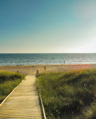Tylösand strand, en av Sveriges mest populära, ligger bara en kort bilresa bort.