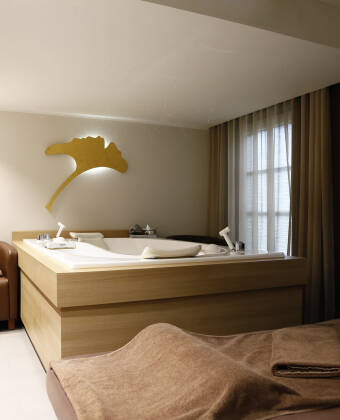 A relaxing and soothing bath in the wellness area is like a gift for health.