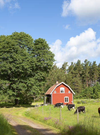 Stiftgården Tallnäs är beläget i Småland som kännetecknas av sjöar, skog och röda lador.