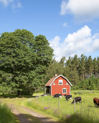 Stiftgården Tallnäs är beläget i Småland som kännetecknas av sjöar, skog och röda lador.