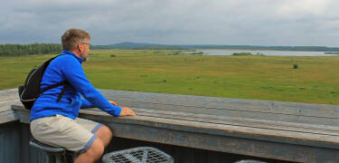 Besøk Store Mosse nasjonalpark (30 min. i bil) og utforsk de store myrområdene for å se våtmarksfugler og elg.