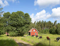 Stiftgården Tallnäs är beläget i Småland som kännetecknas av sjöar, skog och röda lador.