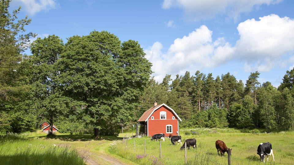 Stiftgården Tallnäs liegt in Småland, einer Region, die sich durch ruhige Seen, unberührte Wälder und die typischen roten Scheunen auszeichnet.