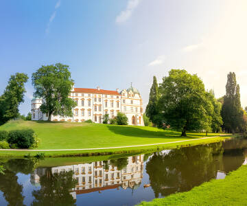 Celle erwartet Sie mit hübschen Fachwerkhäusern in gemütlichen Gassen und dem schönen Schloss mit den umliegenden Gärten.