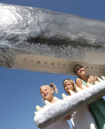 Besøk akvariumet, hvor dere kan se flere ulike fiskesorter, selsafari, finne skjell på stranden, og mye mer.