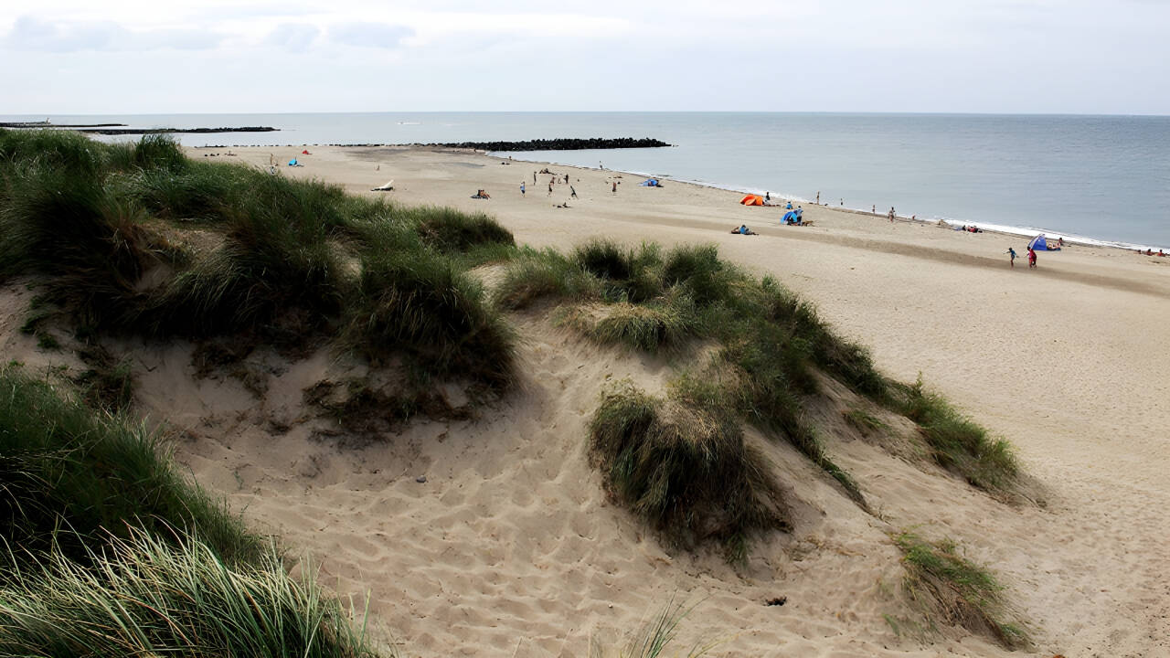 Visit the many beaches on the west coast and discover the North Sea.