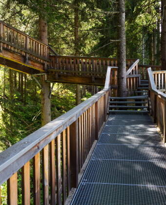 Experience nature from above at the spectacular treetop walkway in Kopfing, a highlight for all ages.
