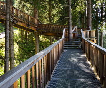 Oplev naturen fra oven på den spektakulære trætopssti i Kopfing – en oplevelse for hele familien.