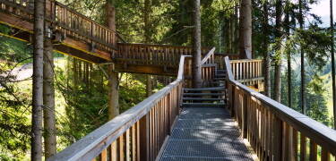 Oplev naturen fra oven på den spektakulære trætopssti i Kopfing – en oplevelse for hele familien.