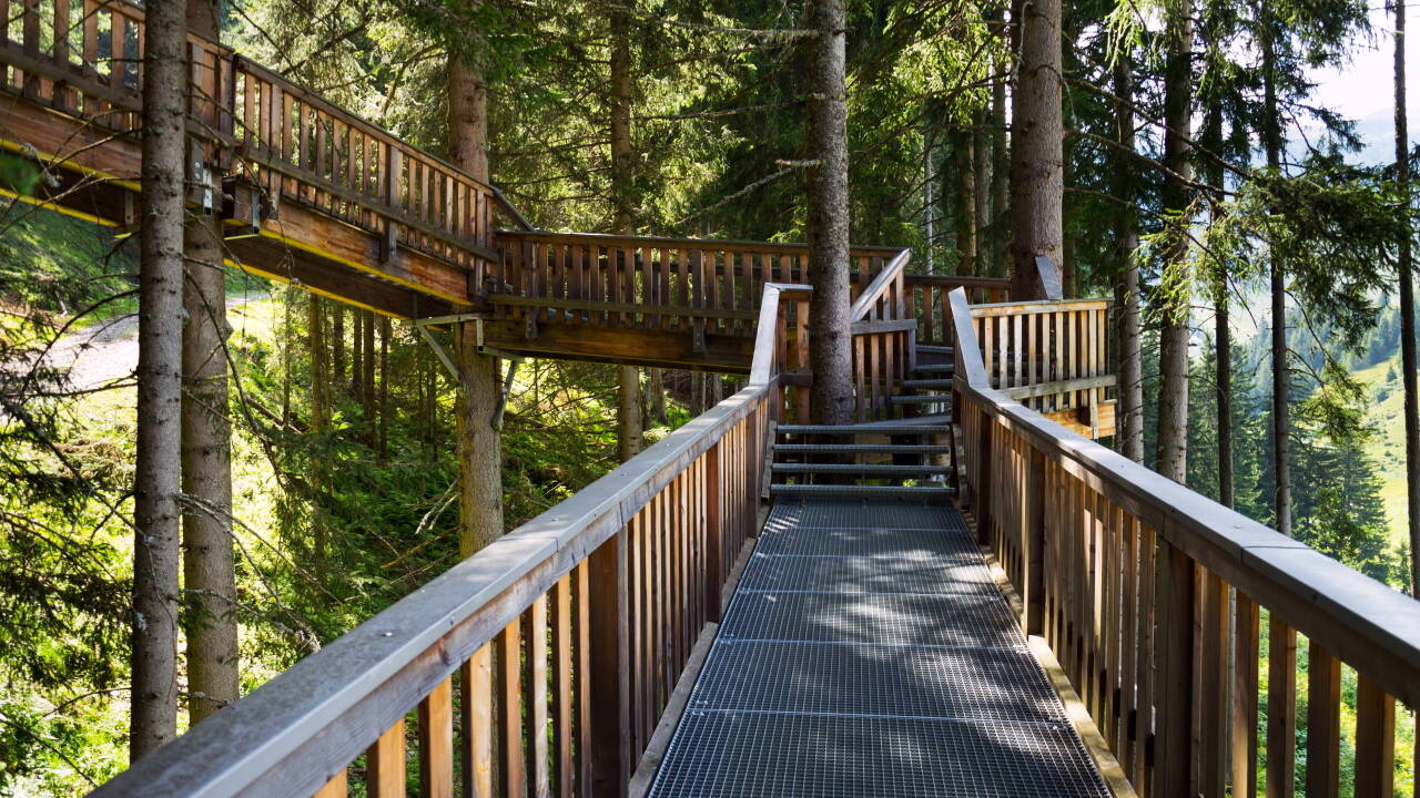 Upplev naturen från ovan på den spektakulära trädtoppspromenaden i Kopfing, en höjdpunkt för alla åldrar.