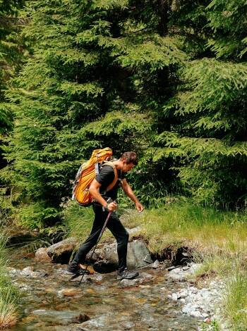 Du hittar många vandringsleder runt hotellet och Färnebofjärdens nationalpark ett stenkast bort.