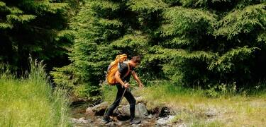 Rund um das Hotel gibt es viele Wanderwege. Auch der Nationalpark Färnebofjärdens ist nur einen Katzensprung entfernt.