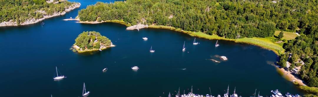 Upptäck skönheten i Stockholms skärgård – skog, klippor och öppet vatten precis utanför hotellet.