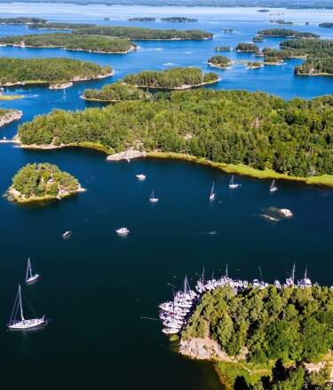 Upptäck skönheten i Stockholms skärgård – skog, klippor och öppet vatten precis utanför hotellet.