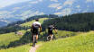 Ob Wandern, Klettern oder Mountainbiken: Für Aktive bieten die Kitzbühler Alpen viele Möglichkeiten.