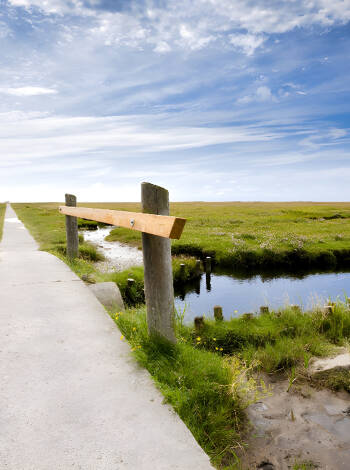 The nature in the area invites you to many walks and excursions where you can really experience it.