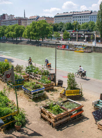På en cykeltur längs Donau kommer du att upptäcka en ny sida av staden.