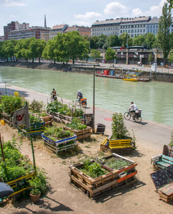 On a cycling trip along the Danube you will discover a new side of the city.