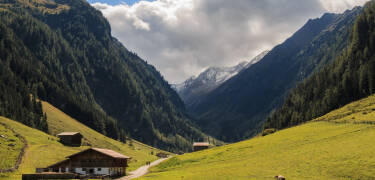 Vom Hotel aus erreichen Sie bequem Wanderwege und Wälder in der Region.