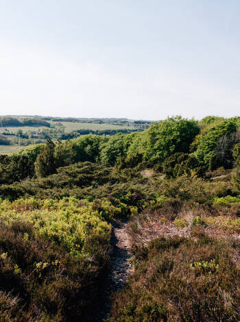Åk på minisemester på Mittjylland och bo nära Lækmose Sjö och den vackra Trehøje Naturpark.