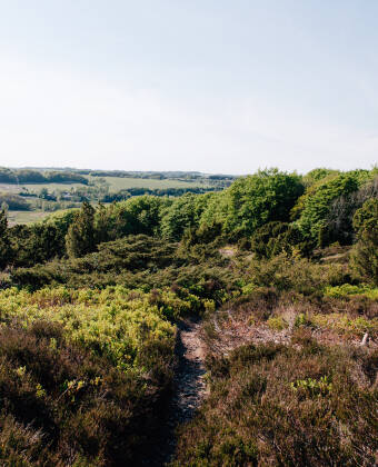 Dra på miniferie til Midtjylland og bo i kort avstand til Lækmose Sjø og den vakre Trehøje Naturpark.