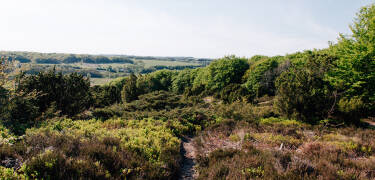Dra på miniferie til Midtjylland og bo i kort avstand til Lækmose Sjø og den vakre Trehøje Naturpark.