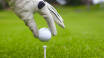 Buchen Sie einen Golfaufenthalt und erhalten Sie 15% Greenfee-Ermäßigung auf ausgewählten Golfplätzen, darunter der Herning Golf Club.