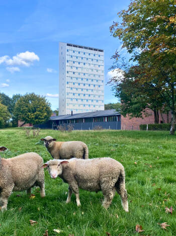 Højhuset - Kulturhotel Herning