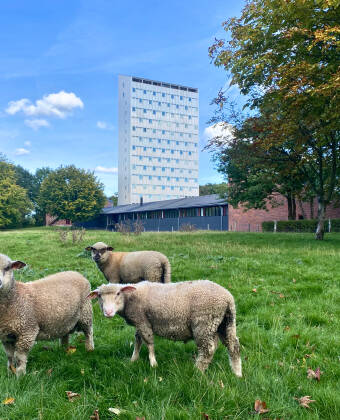 Højhuset - Kulturhotel Herning