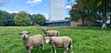 Højhuset - Kulturhotel Herning