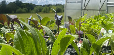 Højhuset focuses on environmentally sustainable solutions and a more conscious approach to hospitality.