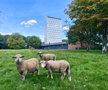 Højhuset - Kulturhotel Herning