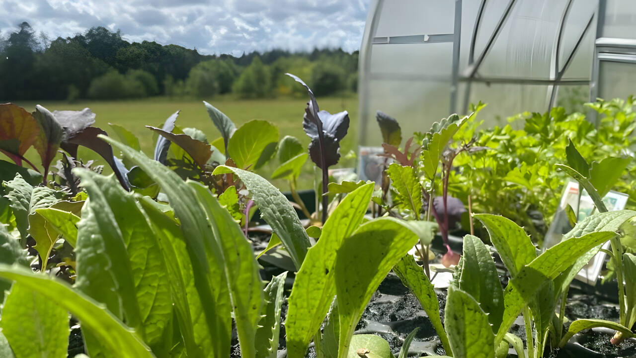 Højhuset focuses on environmentally sustainable solutions and a more conscious approach to hospitality.