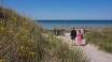 Du kan gå til en børnevenlig strand på 5 minutter fra gæstehuset.