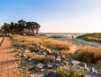 Enjoy a tranquil walk along the stunning coast of the Baltic Sea as the sun sets.