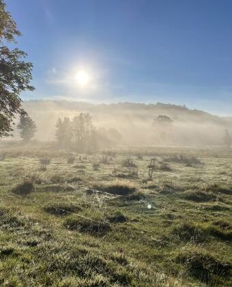 Med elv, enger og turstier rett utenfor døren kommer roen helt naturlig her.