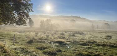 Med elv, enger og turstier rett utenfor døren kommer roen helt naturlig her.