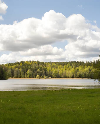 Slapp av ved vakker innsjønatur omgitt av fredelig landskap og turveier.