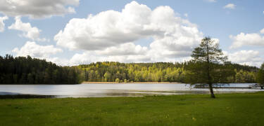 Promenera på gångstigar i vackert landskap, och upplev närhet till skog och vatten.