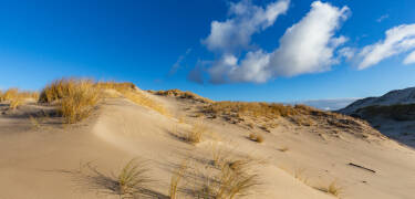The Słowiński National Park with its famous moving sand dunes is a must-see, just a short trip away.
