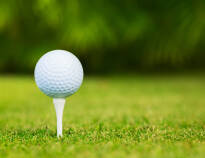 Med flera golfbanor i närheten, finns det möjlighet att lufta golfklubborna under vistelsen på Thon Hotel Sorø.
